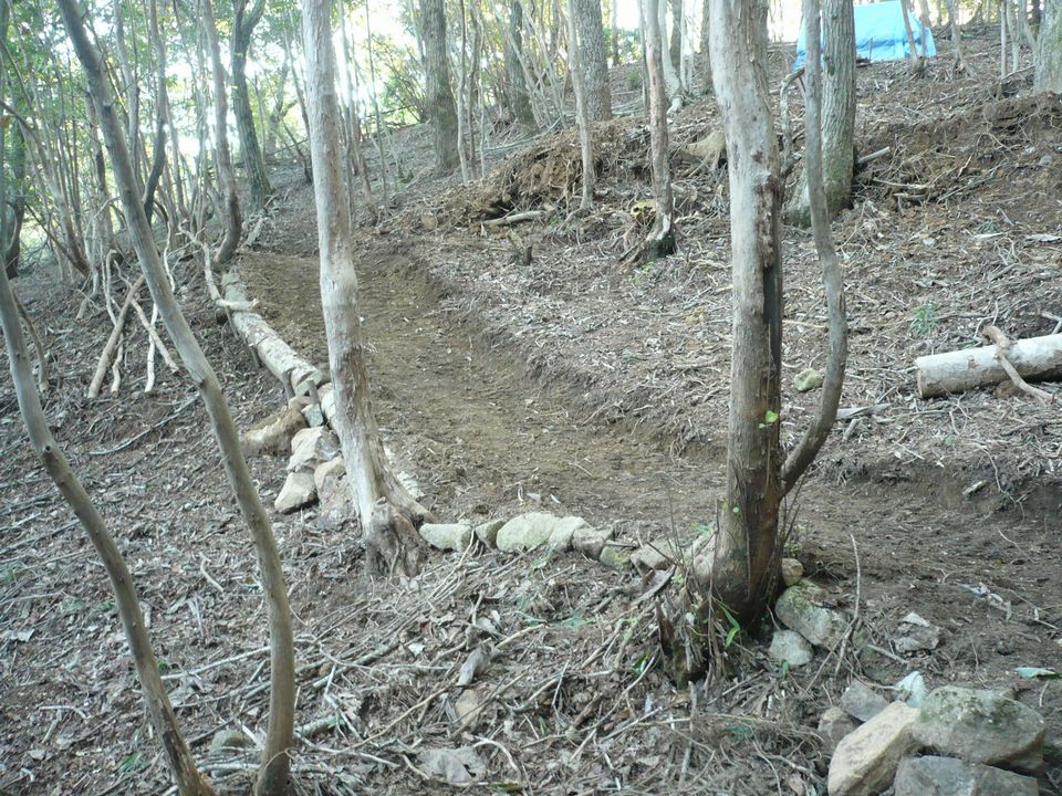 f0090444_21504321.jpg