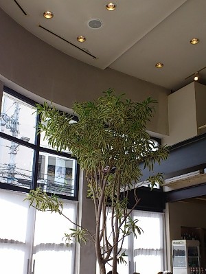 e0100046_0172611.jpg