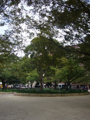 e0100046_0362752.jpg