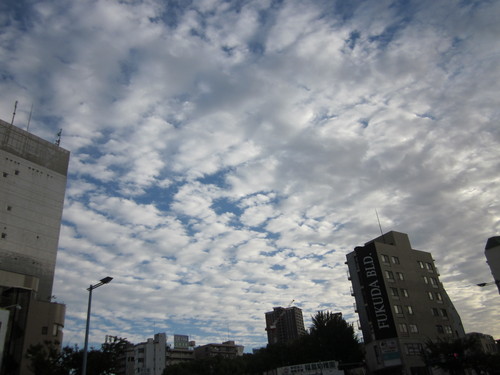 c0145449_22344829.jpg