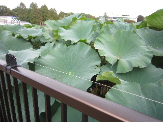 d0063149_22404521.jpg