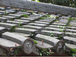 a0052952_19221412.jpg