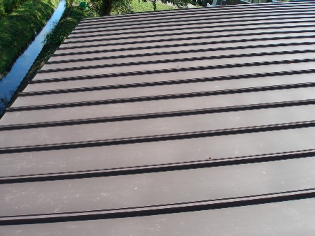 c0037553_5505439.jpg