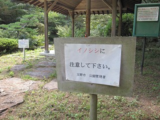 d0031853_003064.jpg