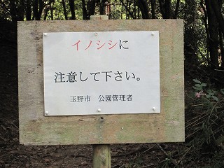 d0031853_004943.jpg