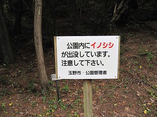 d0031853_0261886.jpg