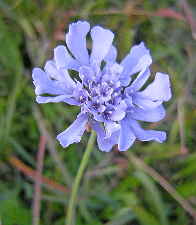 a0001354_1855163.gif