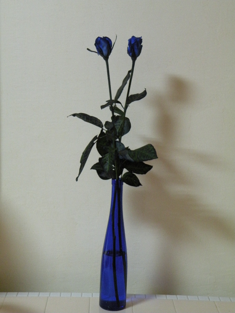 e0223561_17341221.jpg