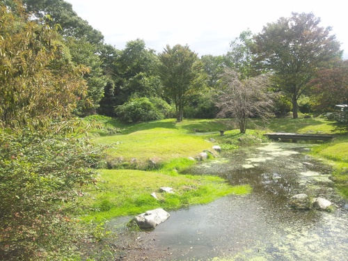 e0151566_187461.jpg