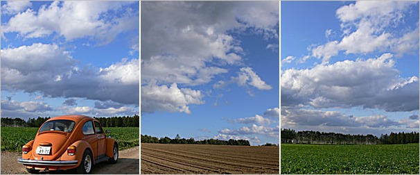 a0050669_23181841.jpg