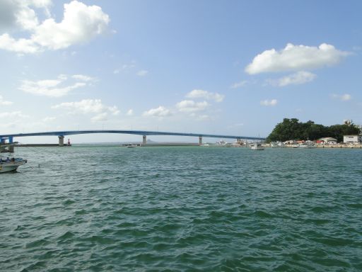 b0070572_23395389.jpg