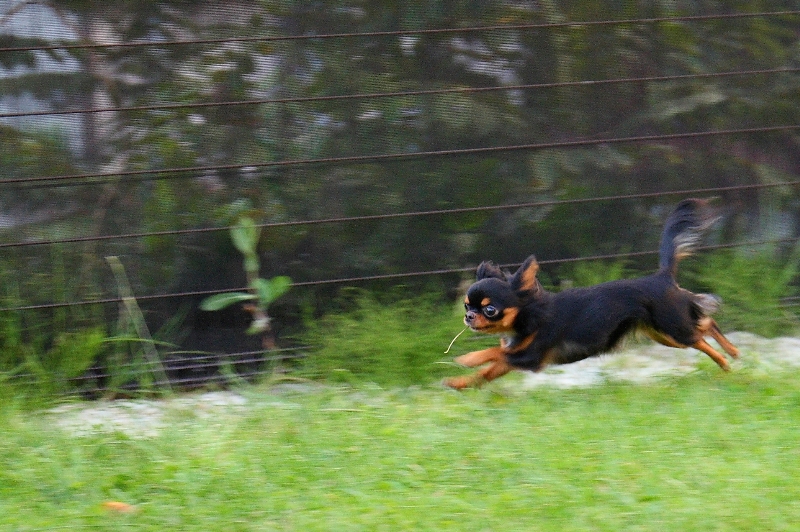 a0016775_23381525.jpg