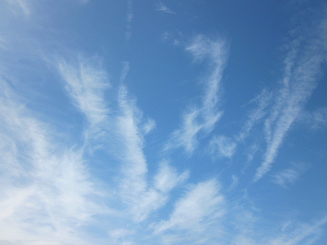 f0005081_12282242.jpg