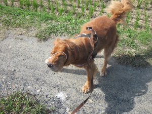 f0005081_12302770.jpg