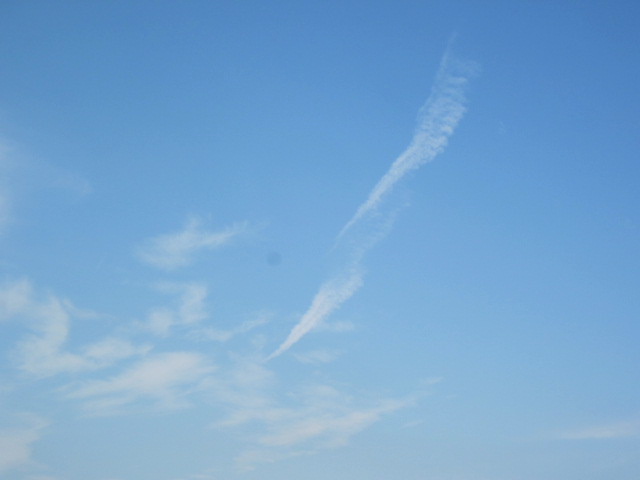 f0005081_12314848.jpg