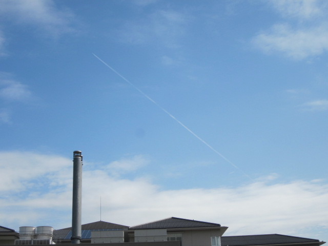 f0005081_1232757.jpg