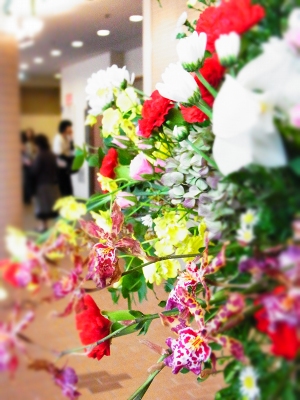 a0165483_217491.jpg