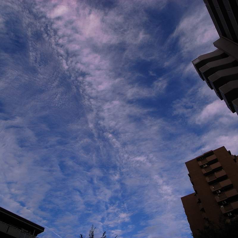 c0160387_2145739.jpg