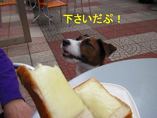 e0121589_2252553.jpg