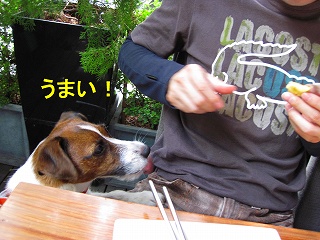 e0121589_2317136.jpg