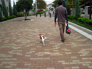e0121589_23191817.jpg