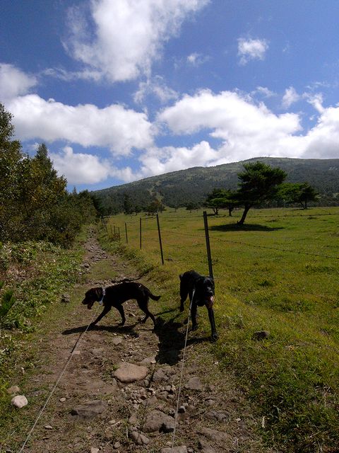 a0093592_12364280.jpg