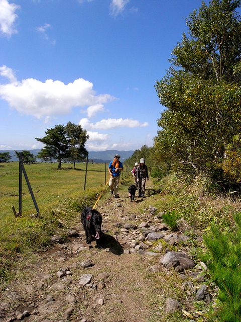 a0093592_1246134.jpg