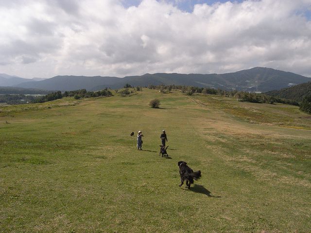 a0093592_136122.jpg