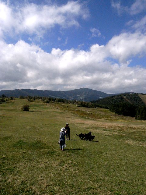 a0093592_1364618.jpg