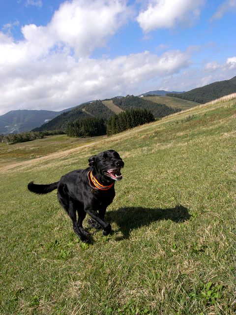 a0093592_17521552.jpg