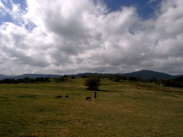 a0093592_1758275.jpg