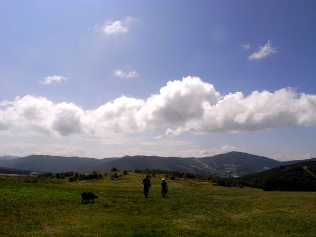 a0093592_185226.jpg