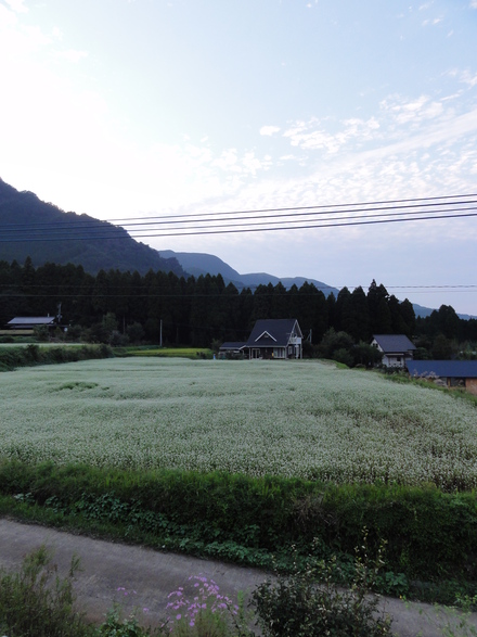 f0209394_2104810.jpg