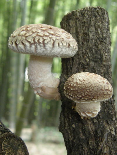 e0017396_22524161.jpg