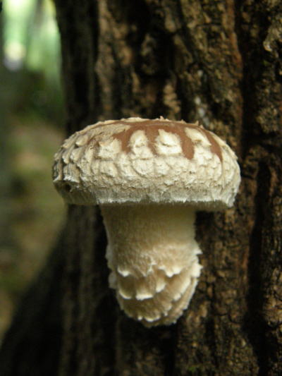 e0017396_23827.jpg