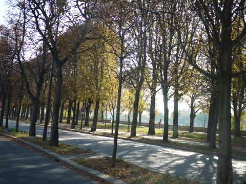 c0090198_6575051.jpg