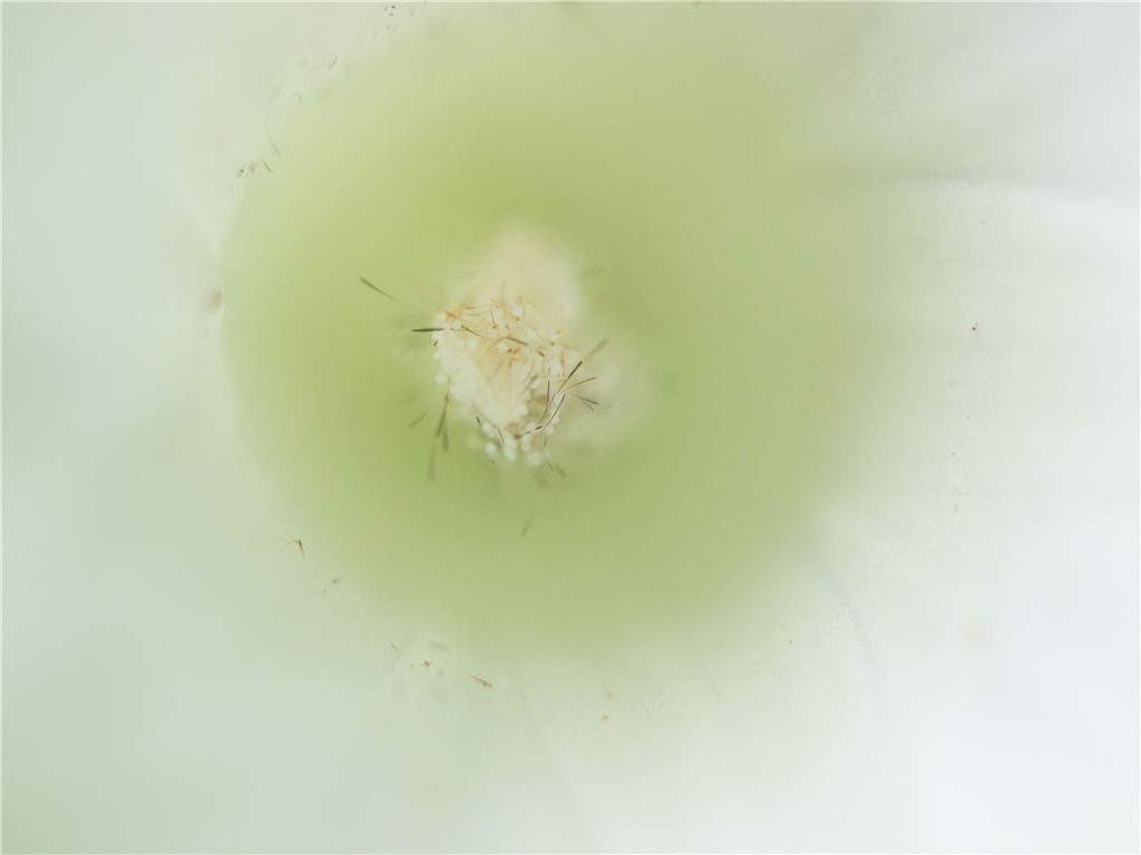 f0224100_765334.jpg