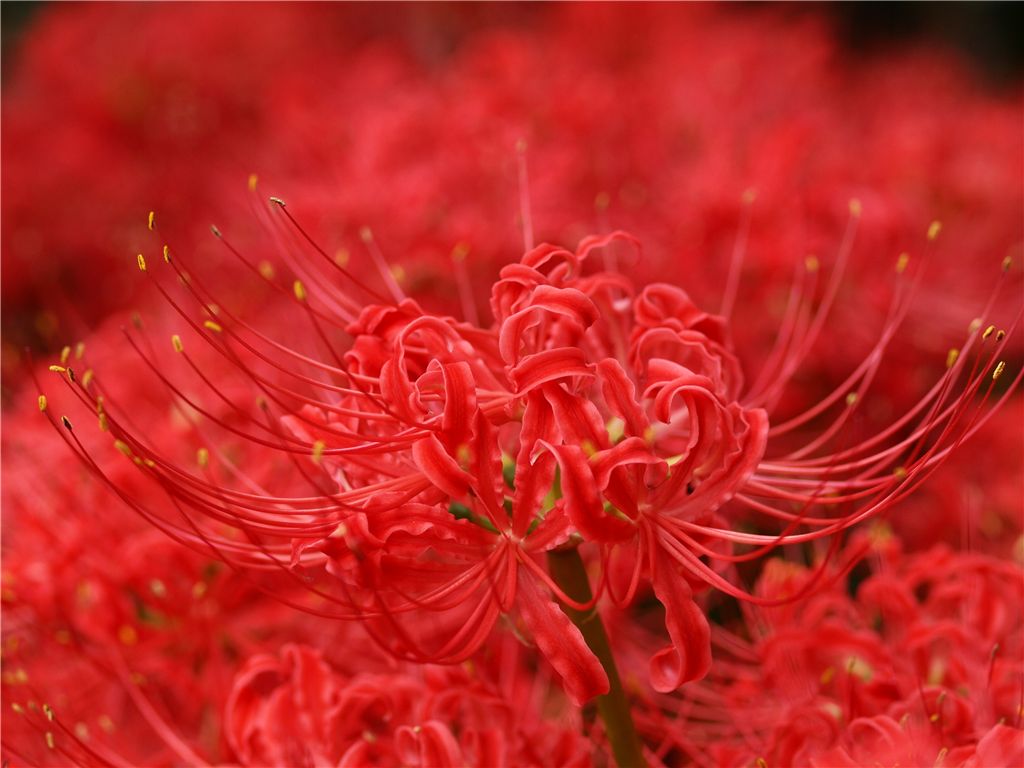 f0224100_774927.jpg