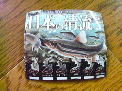 f0082402_2283339.jpg