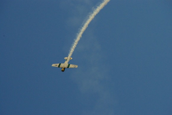 f0038904_10535763.jpg