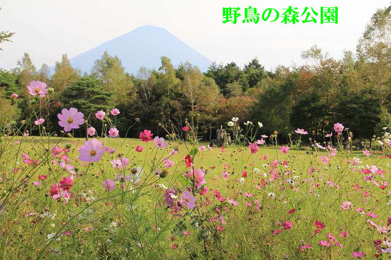 a0188405_2343063.jpg