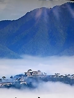 a0048609_17533569.jpg