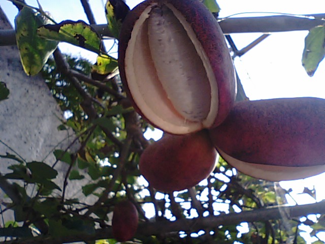 f0231709_17422437.jpg