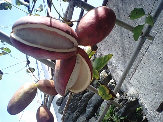 f0231709_17431786.jpg