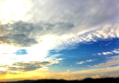 b0140310_17173167.jpg