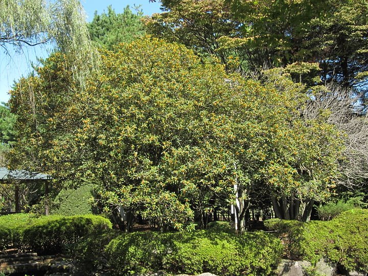 c0110510_12401091.jpg