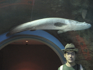 e0139312_23143765.jpg