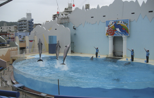 e0139312_2319484.jpg