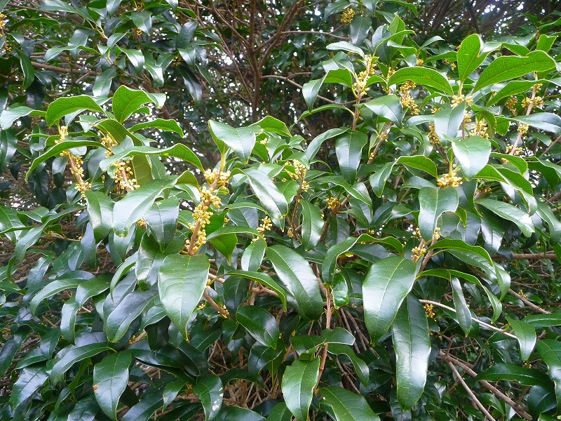 f0182513_027267.jpg