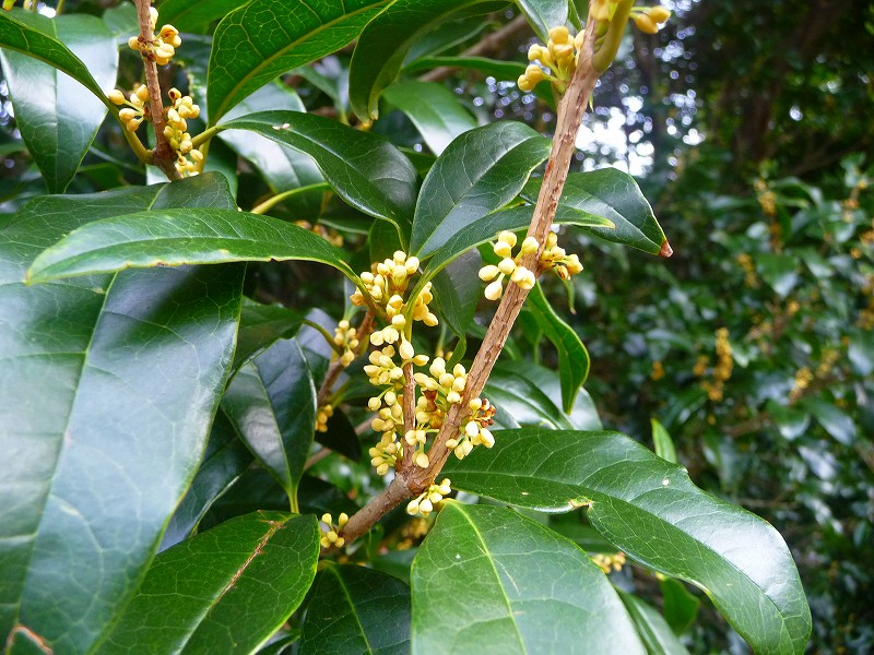 f0182513_0273939.jpg
